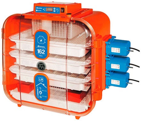 Incubadora Automatica Covatutto Digital 162 Digital